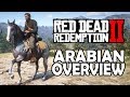 Arabian Horses in Gameplay