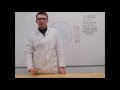 Woodworking Sawing Methods and Techniques
