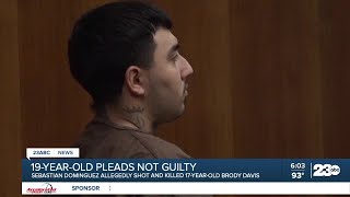 19-year-old pleads not guilty in deadly shooting of teen at Panorama Park
