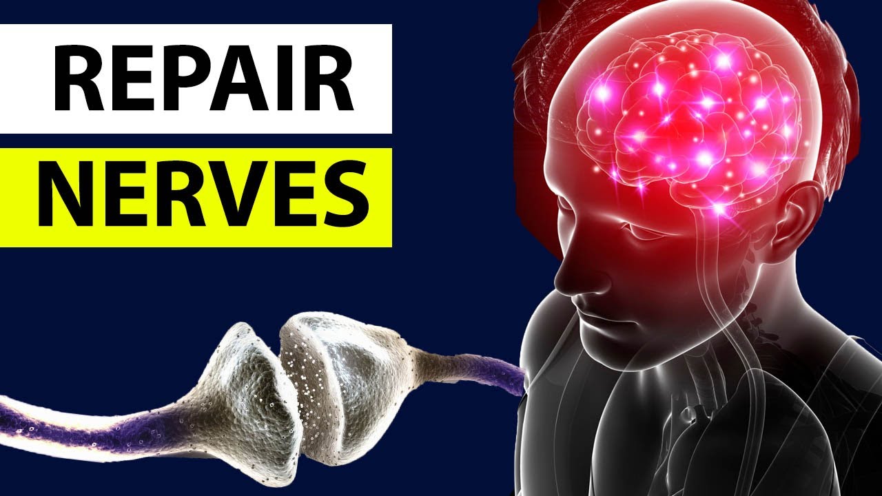 Natural Remedies To Repair NERVES and Prevent Nerve Damage