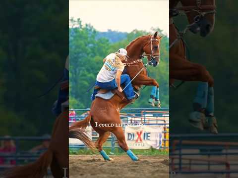 my safe place is a 500KG animal that could kill me😂|| #horse #shorts #youtube #edit #fun