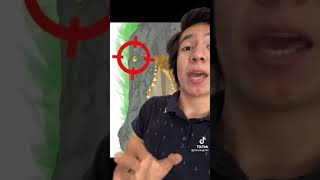 Qué hacer Si Te Ataca Un Cocodrilo