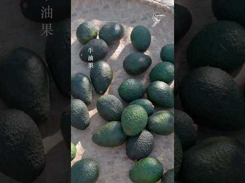 Artisan Soap Crafting Secrets â§ Turn Daily Face Wash into a Spa Experience