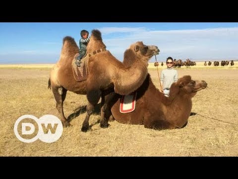 YouTube video thumbnail: A Journey Through Mongolia