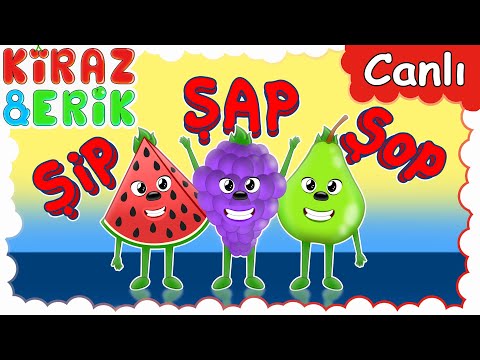 KARPUZ ADAM ŞİP ŞAP ŞOP İLE EN SEVİLEN ÇOCUK ŞARKILARI | Okul Öncesi | Çizgi Film 🔴 Canlı Yayın