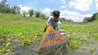 Polo Fishing In Village River|Traditional Boy Polo Fishing Video|