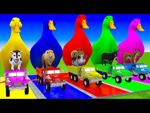 5 Giant Duck Cartoon,Cow,Elephant,Tiger,Lion,Dinosaur,Paint Wild Animals Crossing Fountain Animation