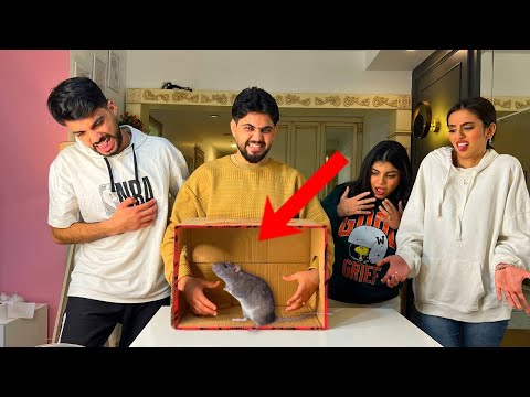 تحدي ماذا يوجد داخل الصندوق | حطينا اشياء مقرفه 🤢🤮زعلووووو