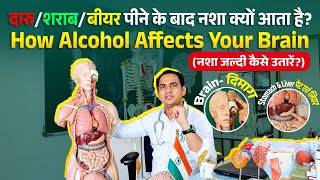 दारु/शराब/बीयर पीने के बाद नशा क्यों आता है? How Alcohol Affects Your Brain (नशा जल्दी कैसे उतारें?)
