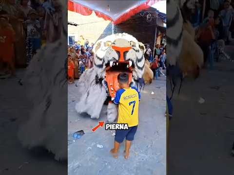 ¿De verdad se lo comió el tigre? 🐅😱 #shorts