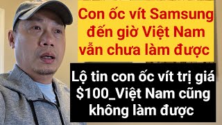 Kinh tế Việt Nam đang suy thoái | Người dân làm không đủ sống 