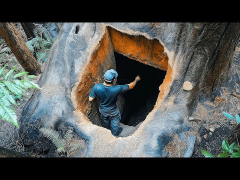 Man Builds Secret Shelter Inside the Tree | Start to Finish by @Wildbuilding98