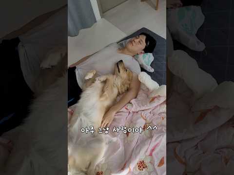 아침에 빵 터진 이유 #shorts