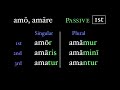 Latin Verb Conjugation Concepts
