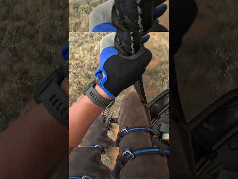 Hunting Springboks With a Netgun  #helicopterhunting