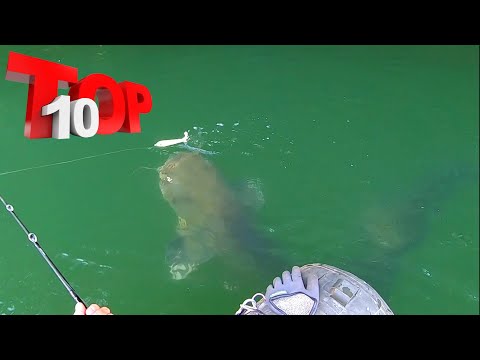 TOP 10 MOST INSANE MONSTER FISH TOPWATER ATTACK 🏆