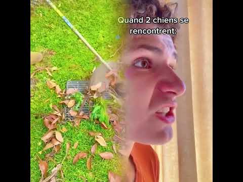 #foryou #humour #funny #viralvideo #storytime #comedy #youtubeshorts