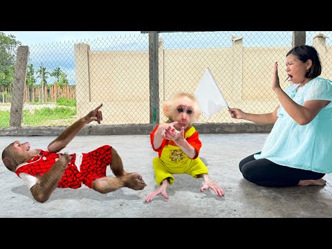 Super funny !Pregnant Mom to surrenders to super cool intelligence of CUTIS & Baby monkey😂