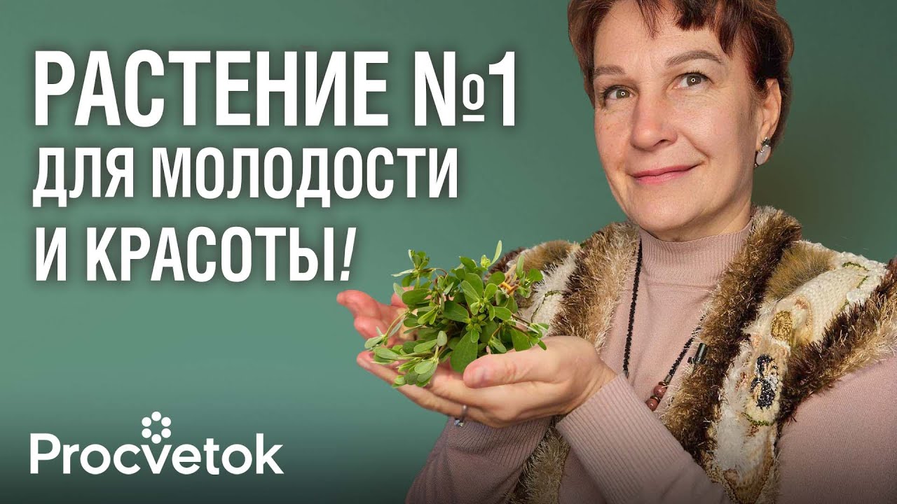 Это не сорняк, а сокровище! Поможет похудеть, уберет отеки, сделает кожу красивой, еще и сон наладит