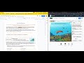 Coral Reefs Lab Concepts