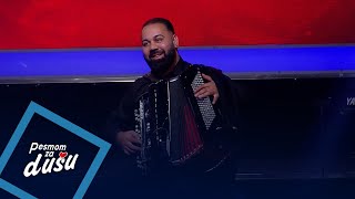 Orkestar Emira Habibovica - Habibi kolo - PZD - (LIVE) - (Tv Grand 22.09.2025.)