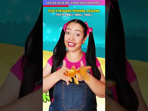 🦑 Aprenda Tamanhos Brincando com Animais Marinhos! 🌊🎨