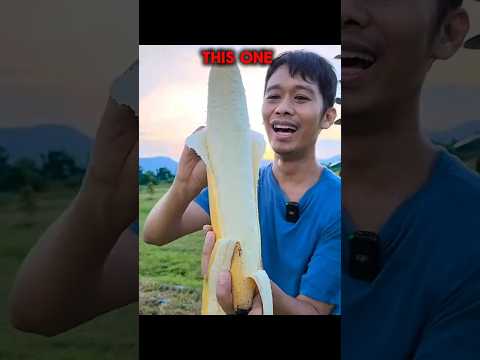 Other Biggest Fruit VS This One Fruit 🥭| Part - 2