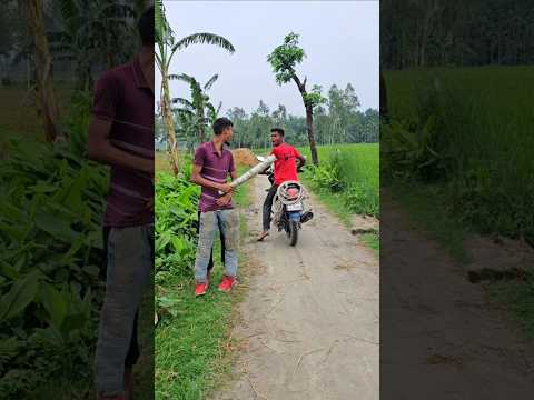 The boy rides a bike on the road.12