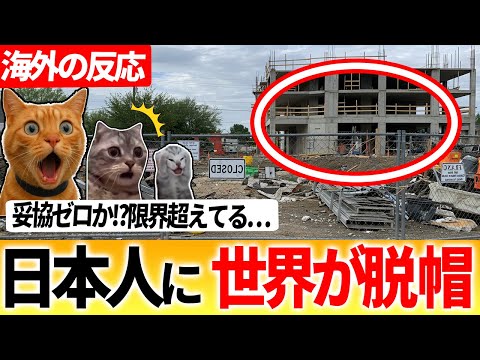 【日本人の執念】誰もやりたがらなかった再建に1人で挑んだ男の結末.猫ミーム#海外の反応