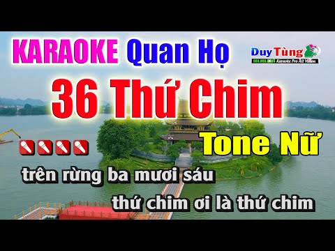 36 Thứ Chim || Karaoke – Tone Nữ || Nhạc Sống Duy Tùng