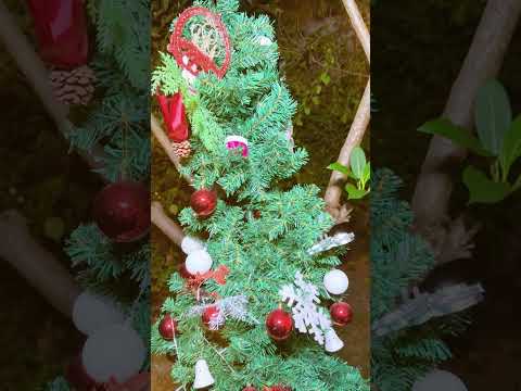 She made a wish at the Christmas tree