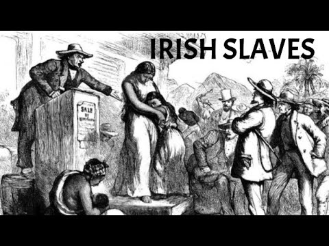 TRUTH about the Irish - First slaves brought to the Americas