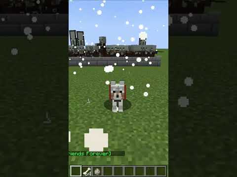 when your dog loves to fight part 7. super dog vs pillagers