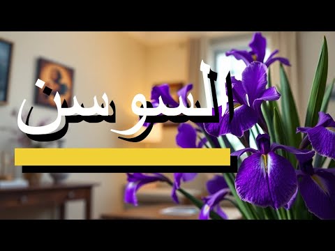 شاهد الفوائد والإستعملات الهئلة لزهرة السوسن