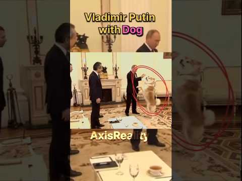 Vladimir Putin Vs Macron with dog #putin #respect #dog