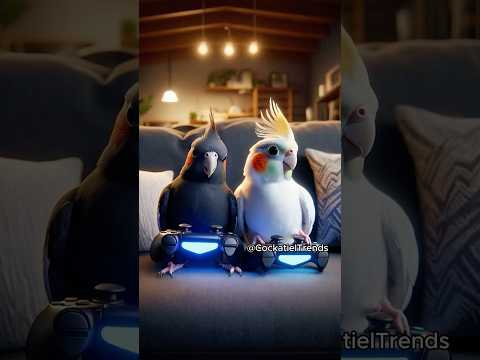 I’ll Even Risk It All to Play! 🎮😳🦜 #funny #parrot #cockatiel