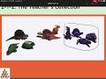 Understanding Ratios and Sorting Objects