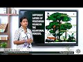 Geography of Forests and Grasslands
