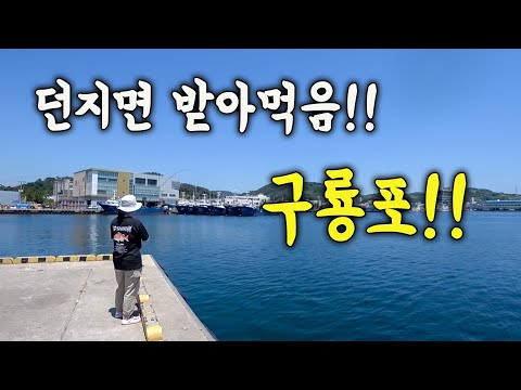 [다리tv] 던지면 받아먹는!! 구룡포 다잡아 낚시!!