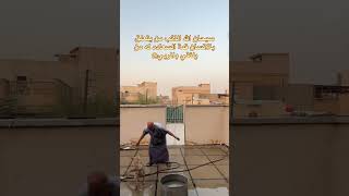 وفاء الذئب بعد الترويض سبحان الله 