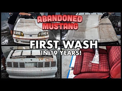 Abandoned BARN FIND Ford Mustang | First Wash In 19 Years |  Car Detailing Restoration How To!