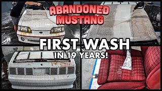 Abandoned BARN FIND Ford Mustang | First Wash In 19 Years |  Car Detailing Restoration How To!