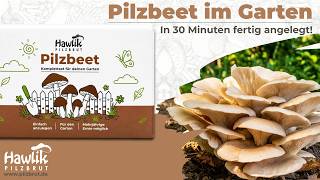 Pilzbeet anlegen & Speisepilze im Garten züchten | Anleitung für das Pilzbeetset von Hawlik Pilzbrut
