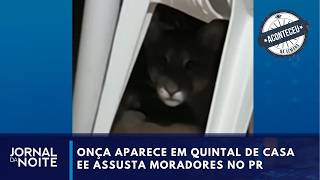 Onça aparece em quintal de casa em Maringá e assusta moradores | Aconteceu na Semana