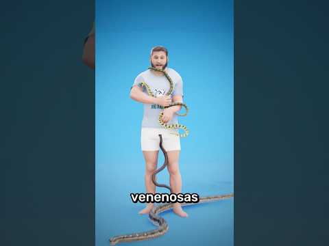 C贸mo Ser Inmune Al Veneno De Serpiente 馃槰
