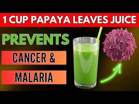 11 Incredible Health Benefits of PAPAYA LEAVES You Wish You Knew Sooner (Doctors Never Say This)