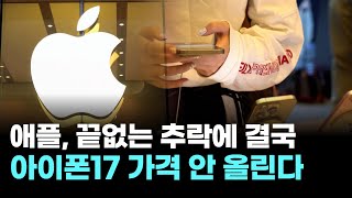 애플, 끝없는 추락에 결국…아이폰17 가격 안 올린다