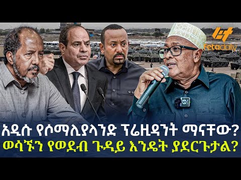 Ethiopia - አዲሱ የሶማሊያላንድ ፕሬዚዳንት ማናቸው? ወሳኙን የወደብ ጉዳይ እንዴት ያደርጉታል?