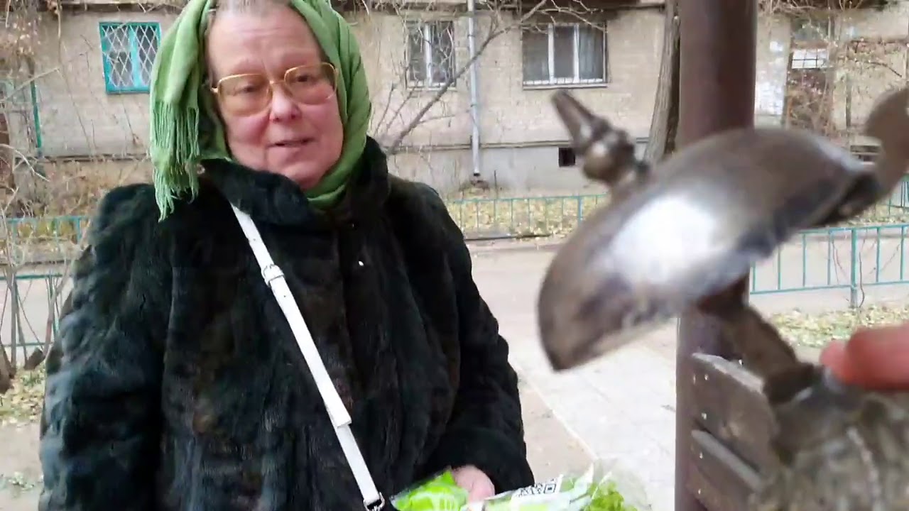 Внезапная гостья Мама о семье Сырников