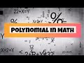 Understanding Polynomials
